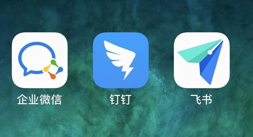 月活差釘釘42倍，后來者飛書何時才能實現飛躍？